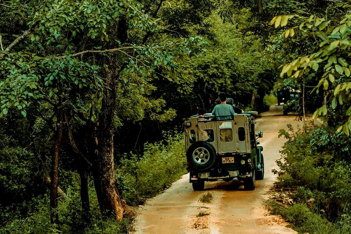 Sigiriya and Minneriya Great Escape - Photo 1 of 8